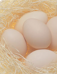 付加価値の高い卵