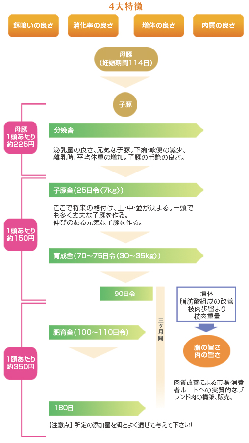 NB-81 養豚編 4大特徴と生産から出荷までの流れ