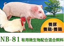 『NB-81』有用微生物配合混合飼料