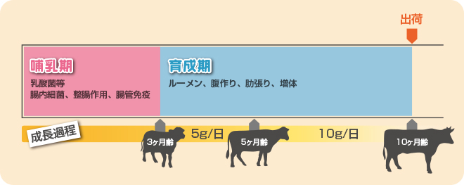 NB-90の使用方法