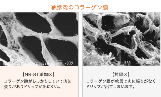 『豚のコラーゲン膜の比較』【NB-81添加区】コラーゲン膜がしっかりしていて肉に張りがありドリップが出にくい。【対照区】コラーゲン膜が軟弱で肉に張りがなくドリップが出てしまいます。